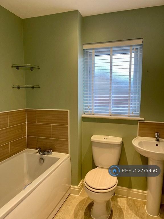1/f Toilet