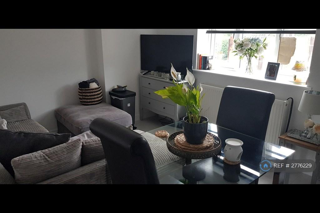 Lounge Area