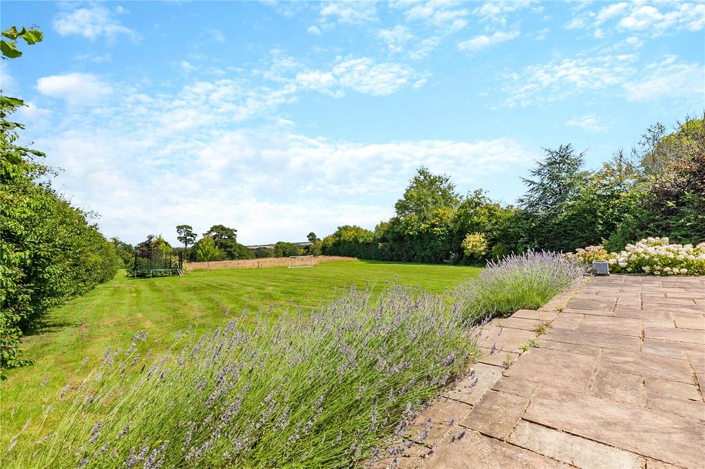 Rear Gardens