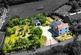 Ledbury Road, Dymock, Gloucestershire photo 3