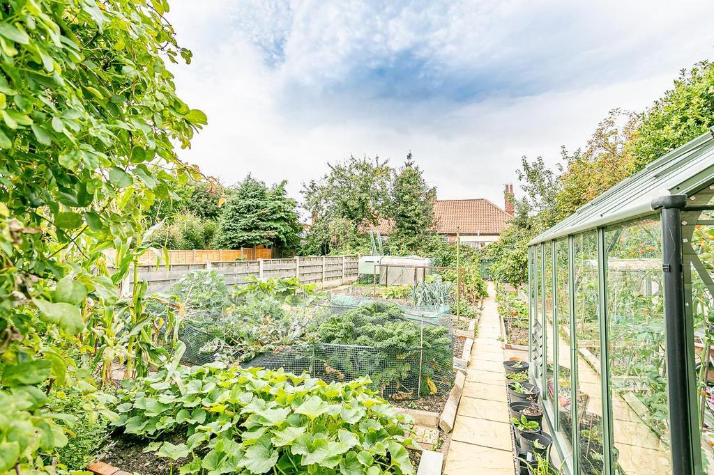 Garden summer 2