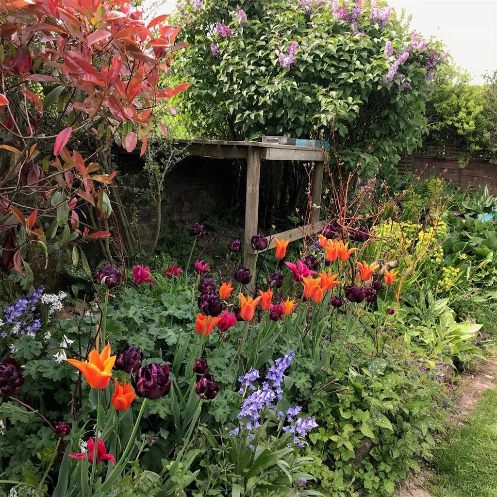 Flower beds.jpg