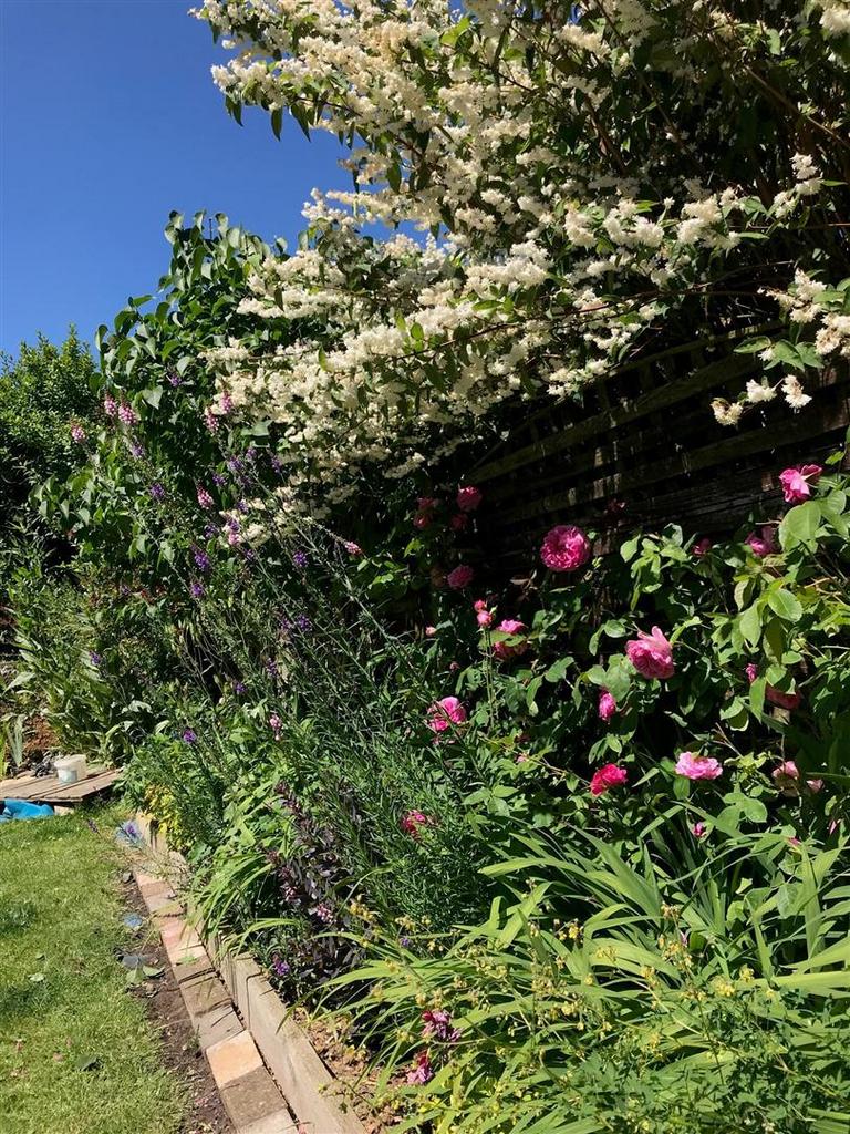 Garden flower beds.jpg