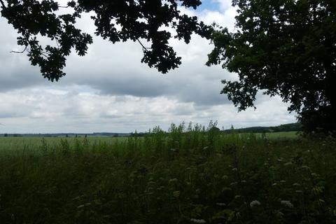 undefined, Fantail Wood, Eakring, Nottinghamshire NG22