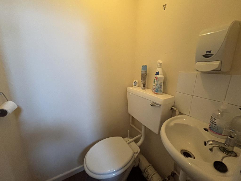 IMG 2967 T202601300943.jpeg