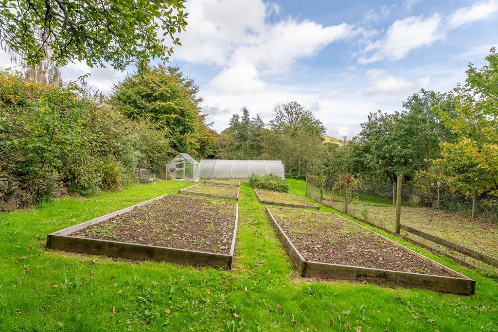 Vegetable plot, orchard, polytunnel and chicken...