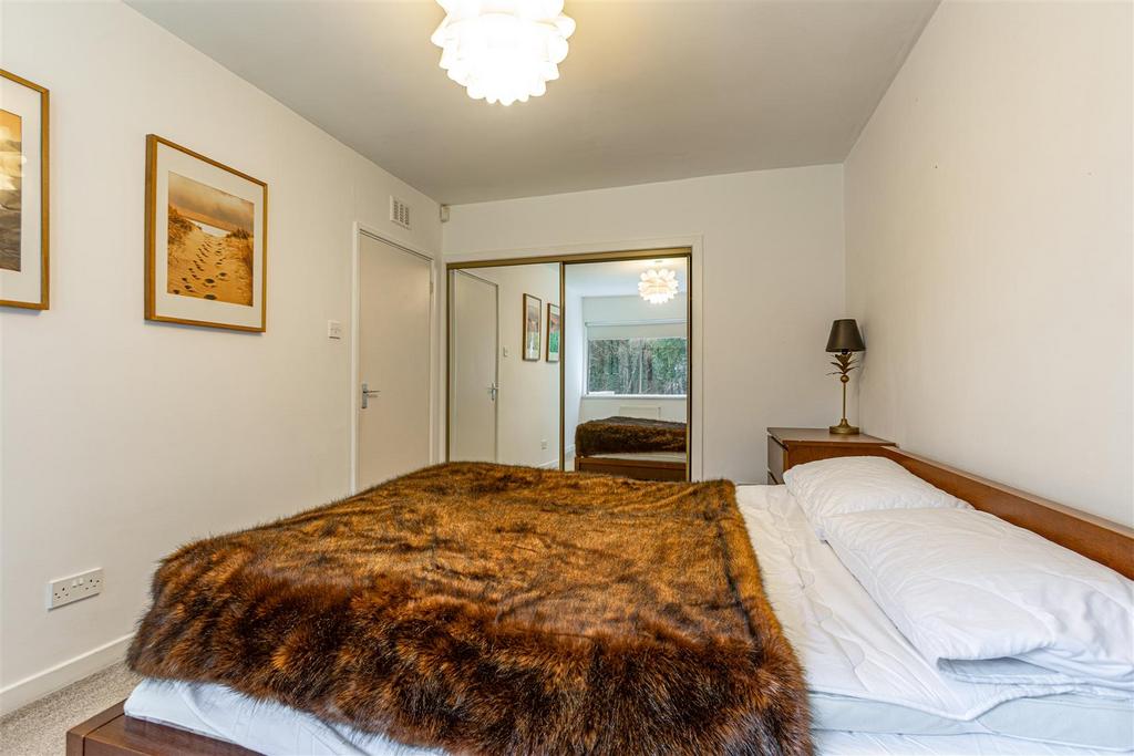 Tweedrig Gattonside 18.JPG