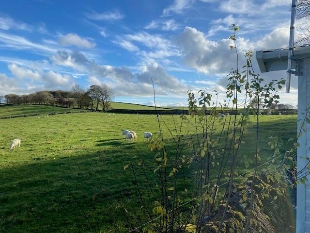 Willerby-Linwood-2019-CAR0061731-121012160.jpg