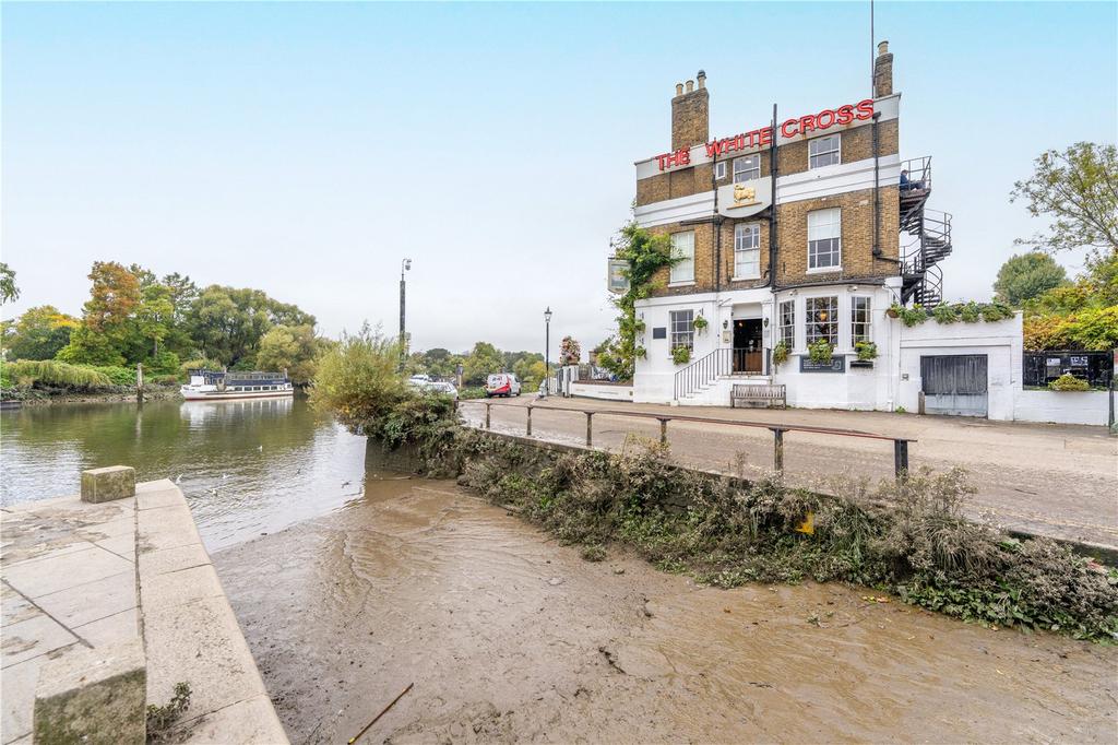 The White Swan