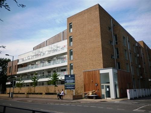 Photo 10