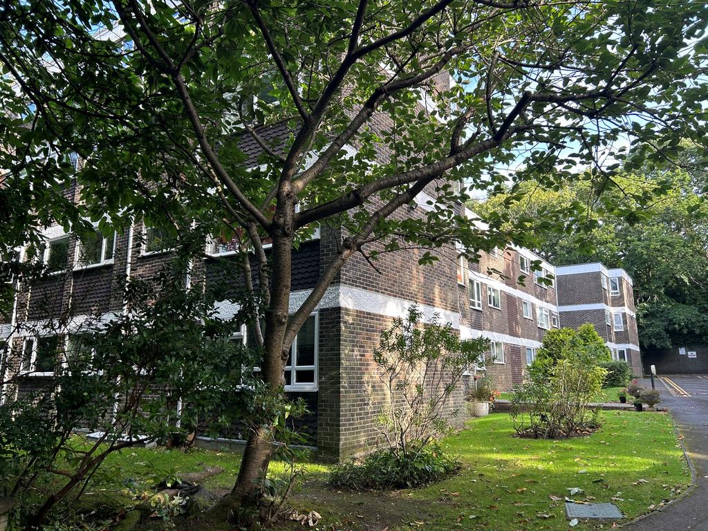 External