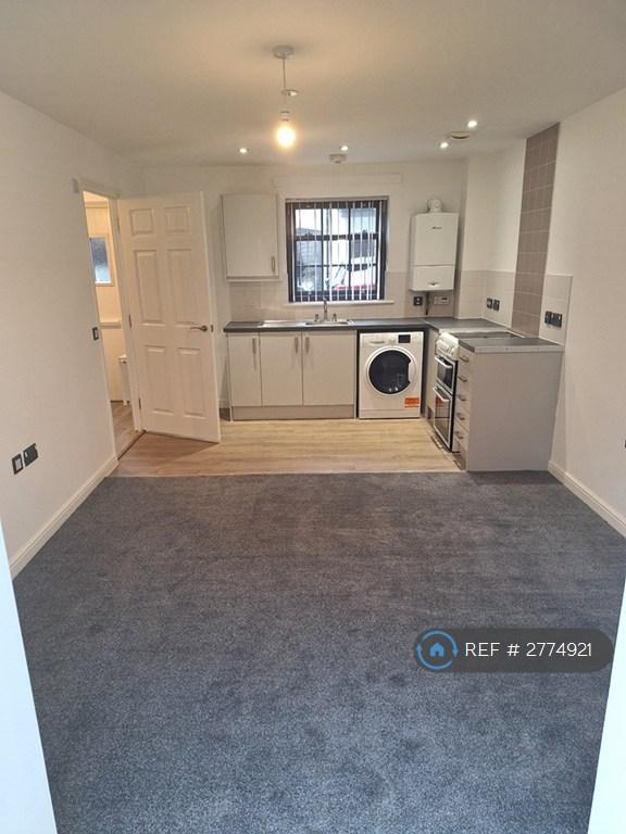 Kitchen/Living Area