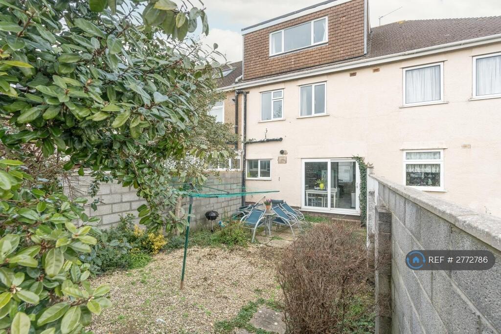 Back Garden