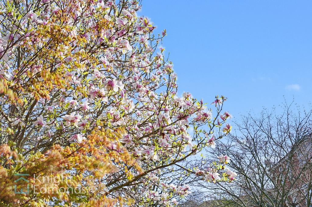 Garden Detail