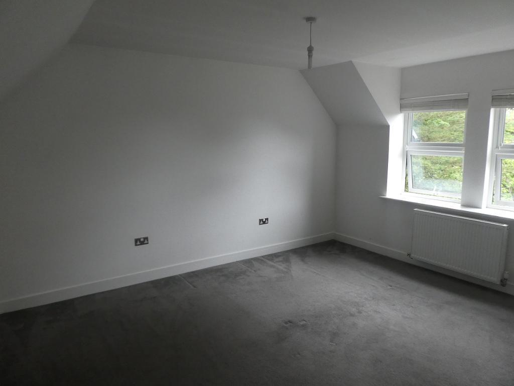 3541864.jpg