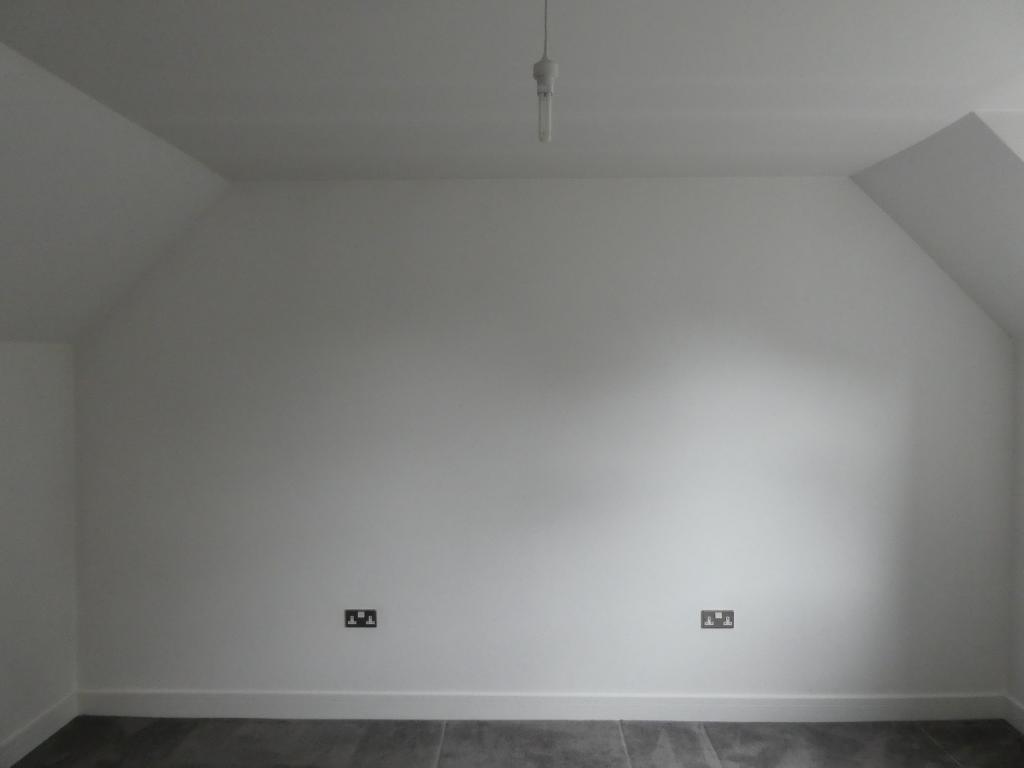 3541865.jpg