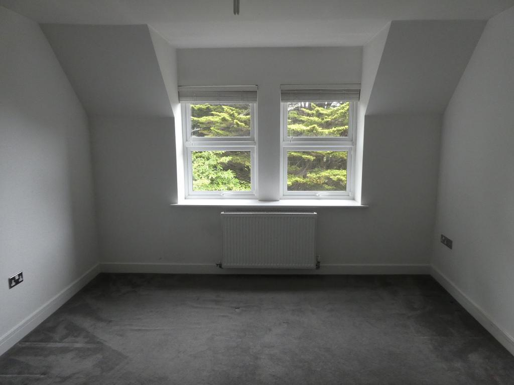3541866.jpg