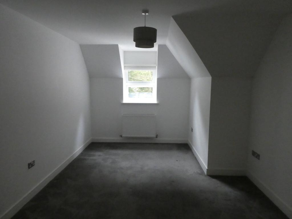 3541867.jpg