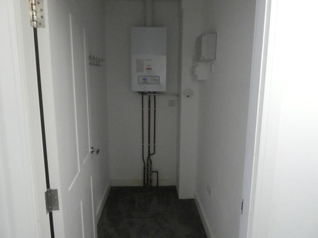 3541869.jpg