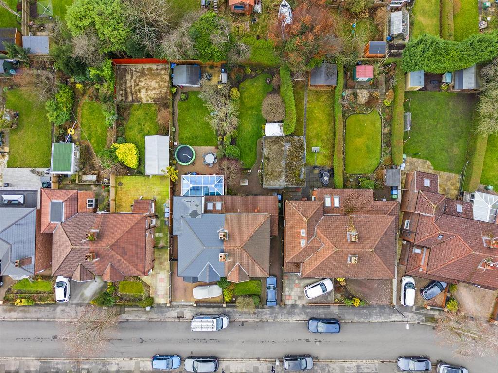 DJI 20260210120656 0086 D.jpg