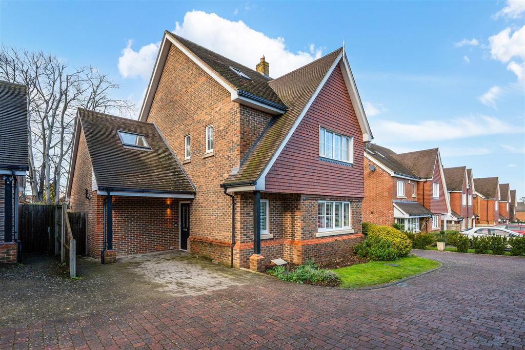 Elder close
