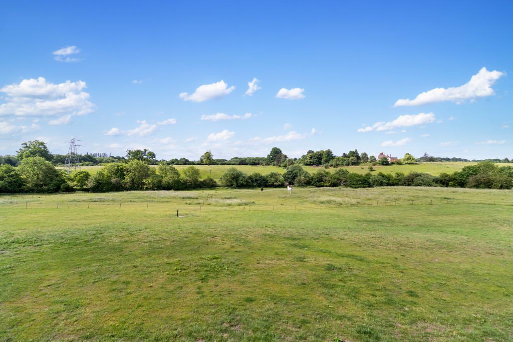 Img 3971