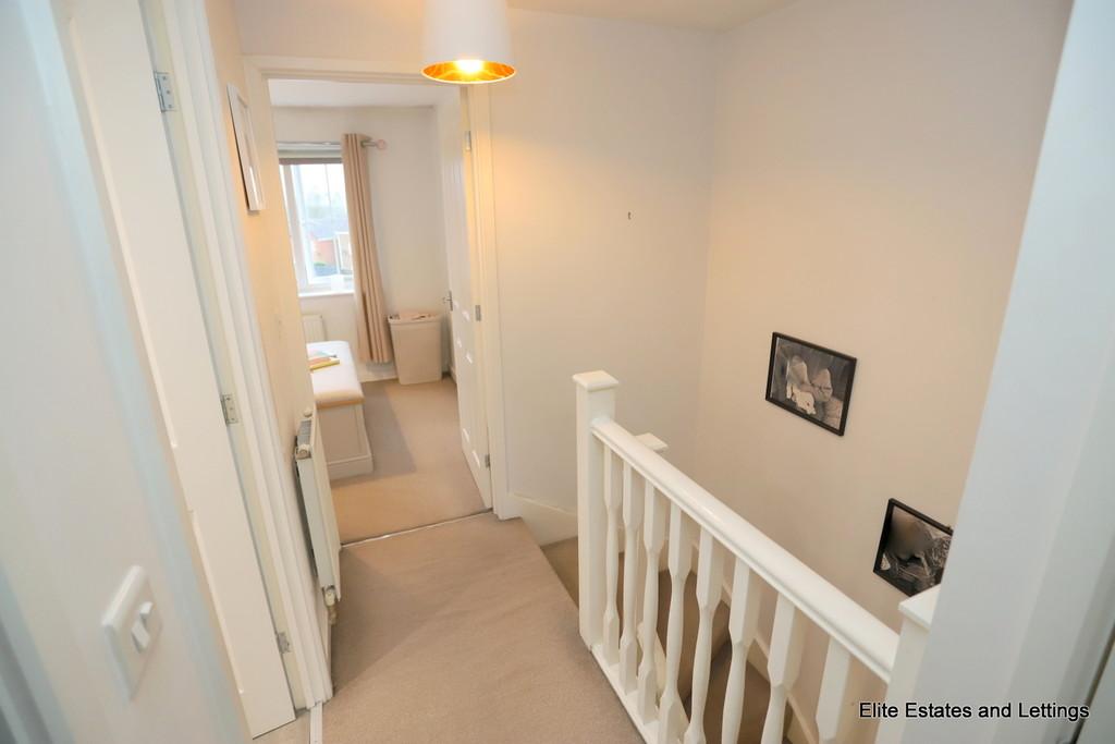 17 img 1679