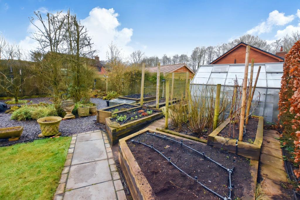 Kitchen Garden