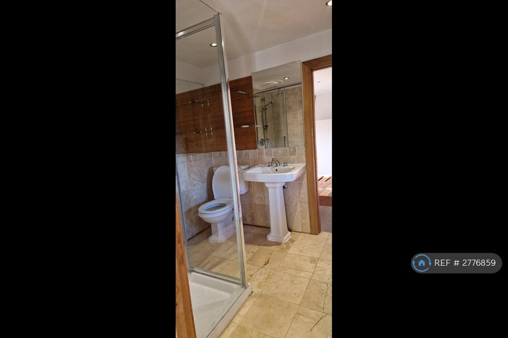 Upstairs 'Jack n Jill' Bathroom - Shower