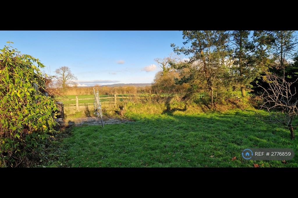 Back Garden And View To The North