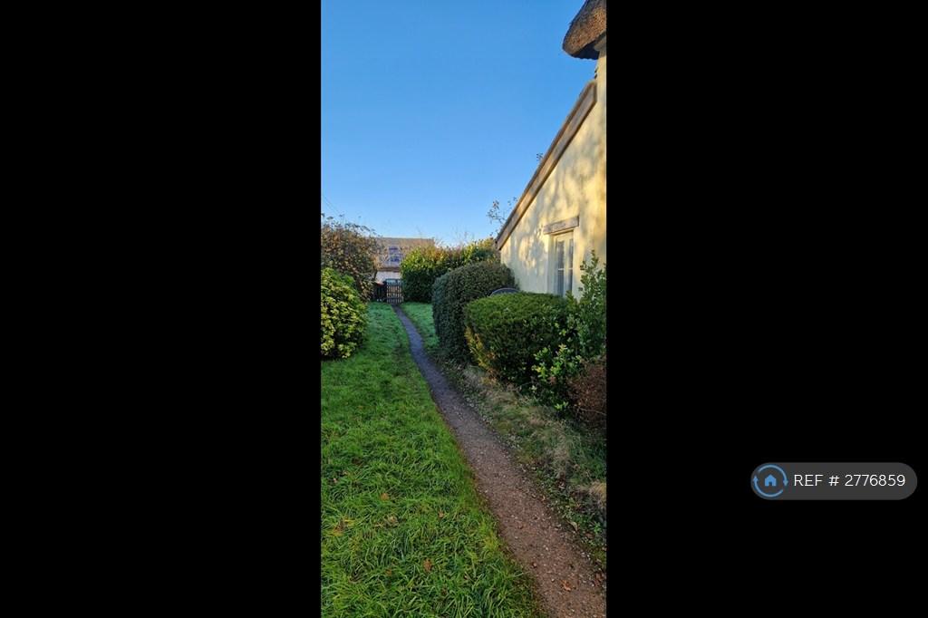 Path To Yard And Parking For 2-3 Cars