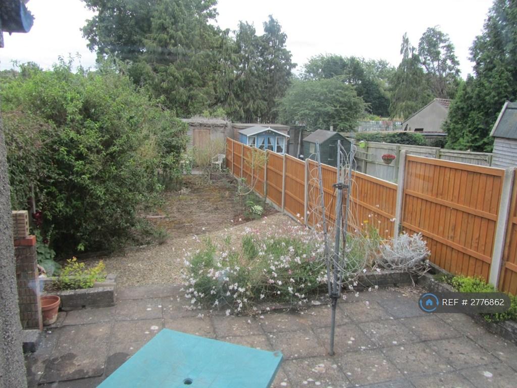 Garden/Patio Area