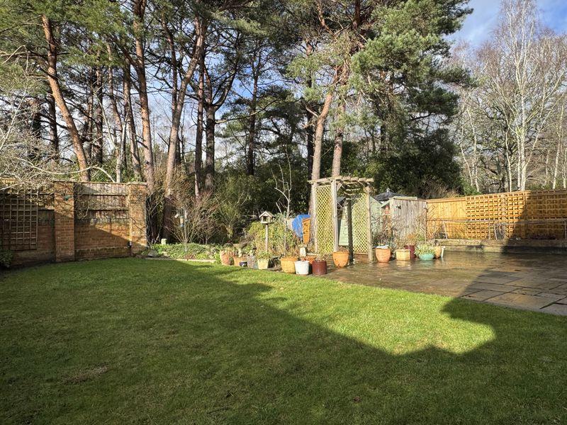 Garden 2