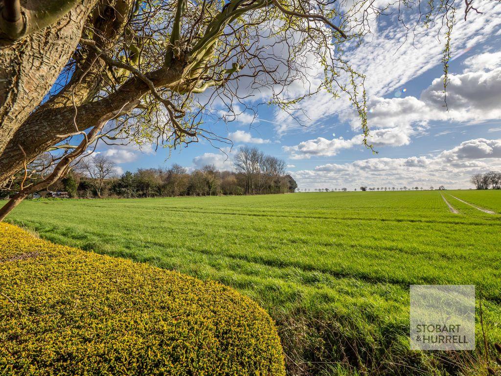 Field Views