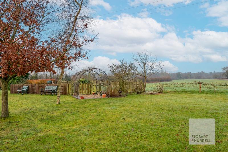 Field Views