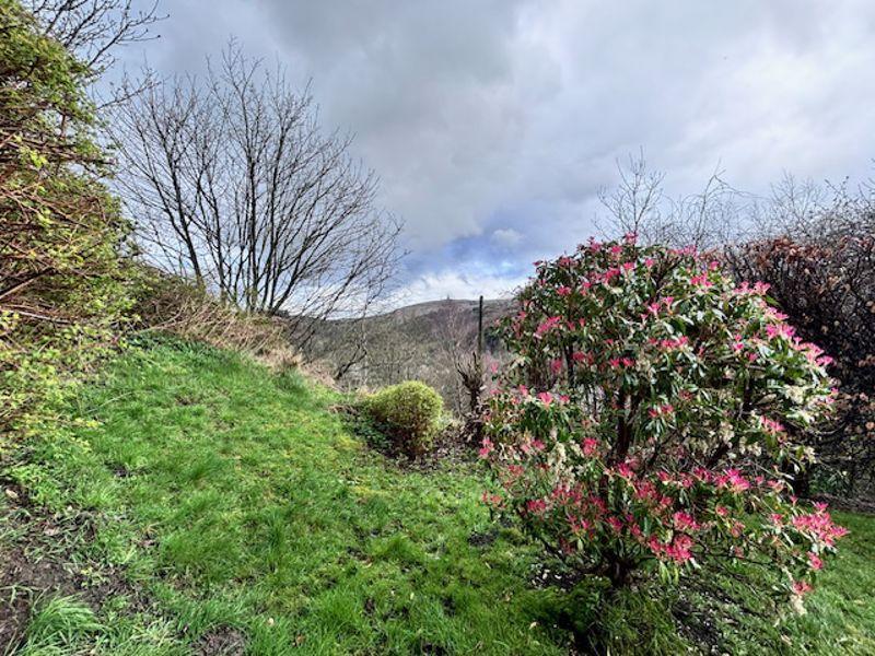 Garden Views
