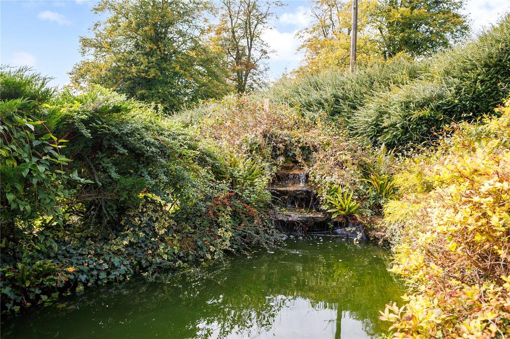 Pond