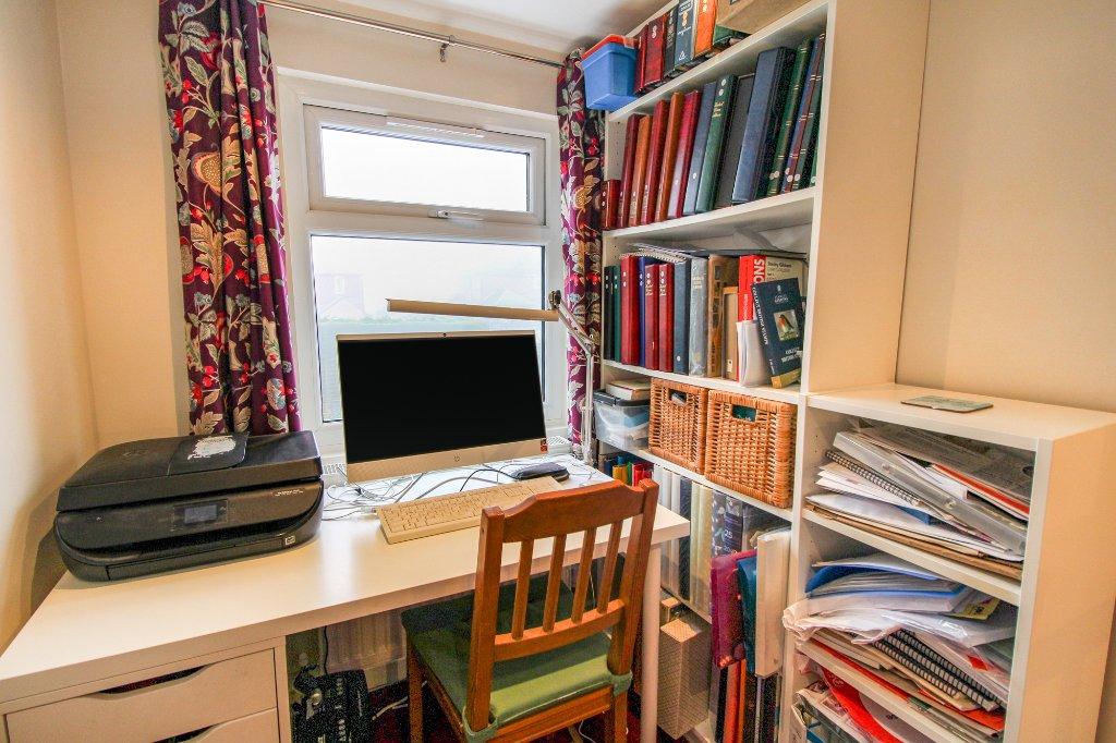 Study Area