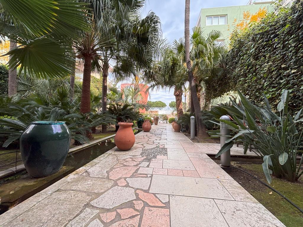 Image11