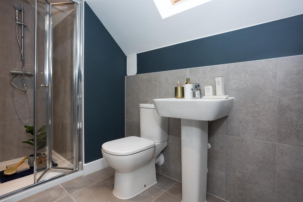 Alsin 37