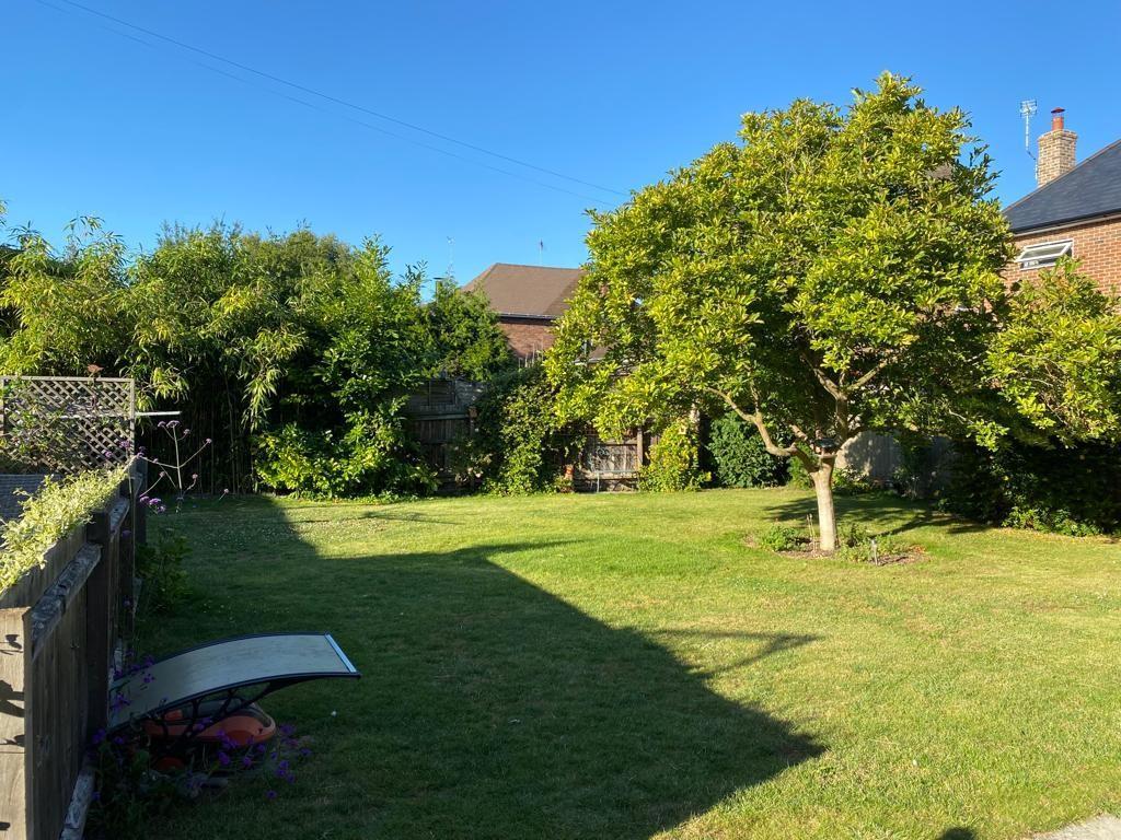 Garden 1.jpg