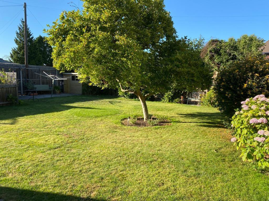 Garden 2.jpg