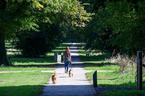 undefined, Abbey Barn Lane, High Wycombe HP10