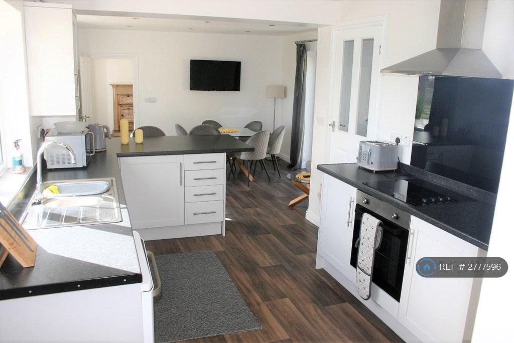 Modern Open Plan Dining Kitchen