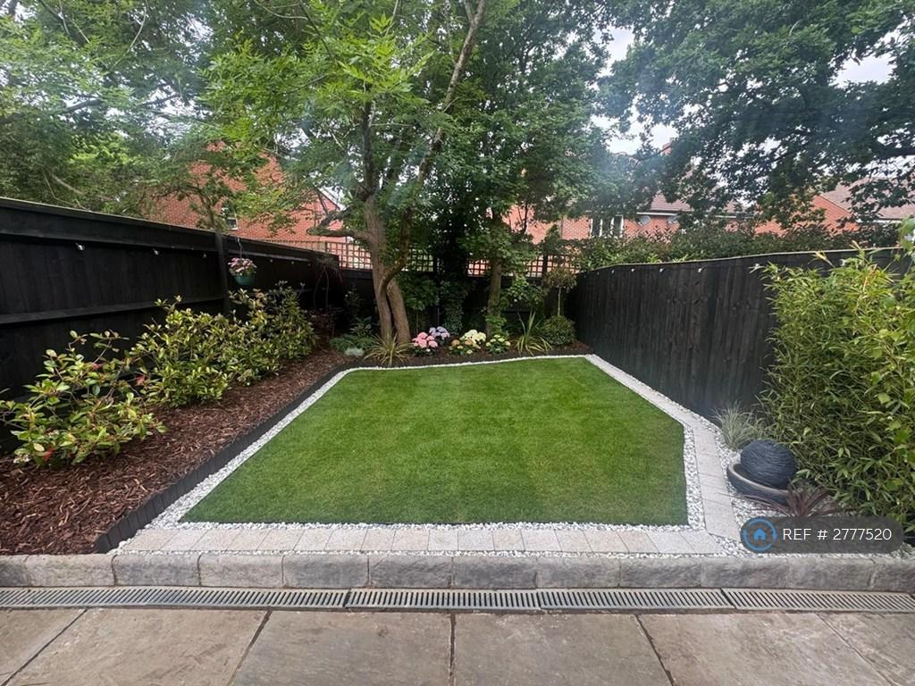 Garden During Summer & Spring