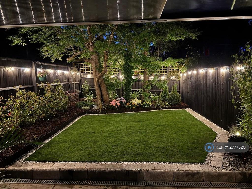 Night Time In Garden