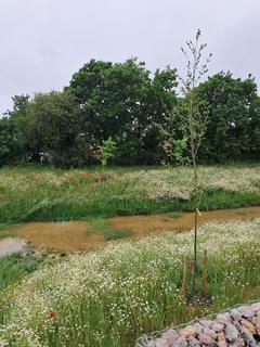 undefined, Plot 129, Masarn at Gwynfaen, Heol Y Creyr Bach, Gorseinon SA4