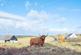 Additional image 45 of Halistra, Waternish, Isle of Skye IV55 8GL