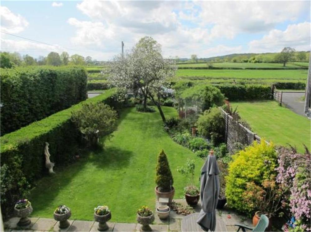 Garden view, garden
