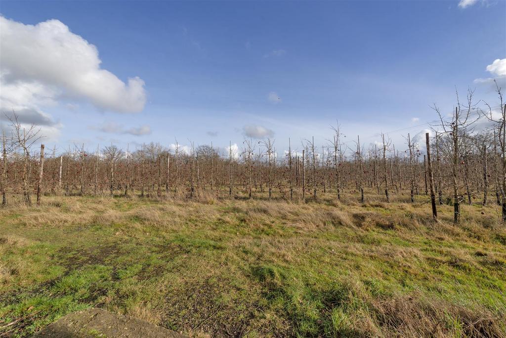 6 Beechbridge22.jpg